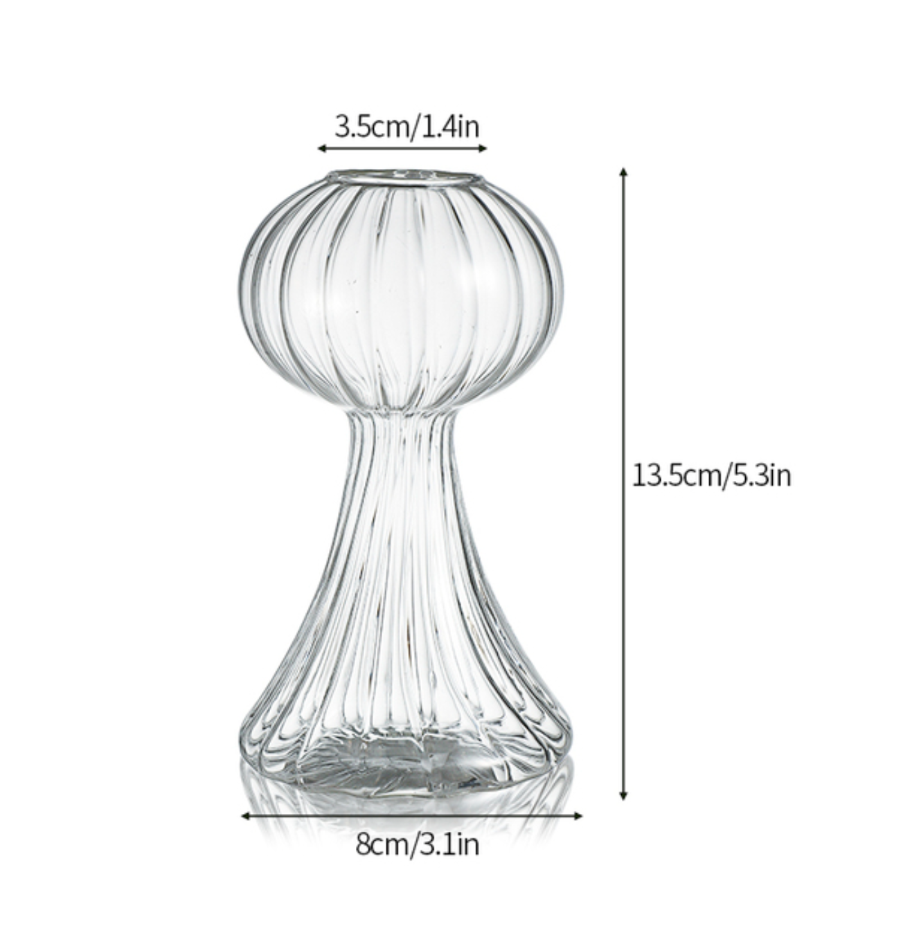 Nordic Hydroponic Glass Vase