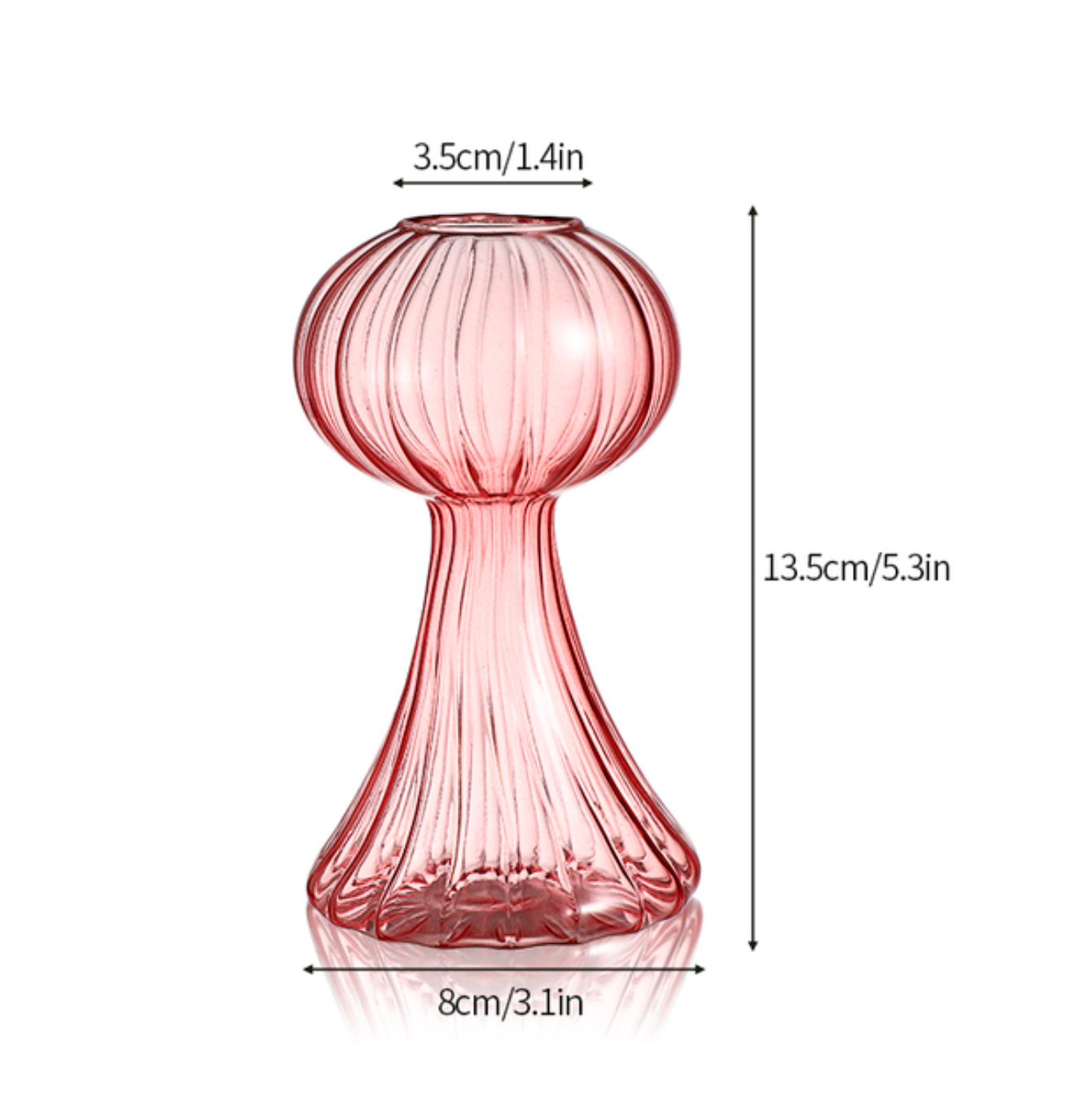 Nordic Hydroponic Glass Vase