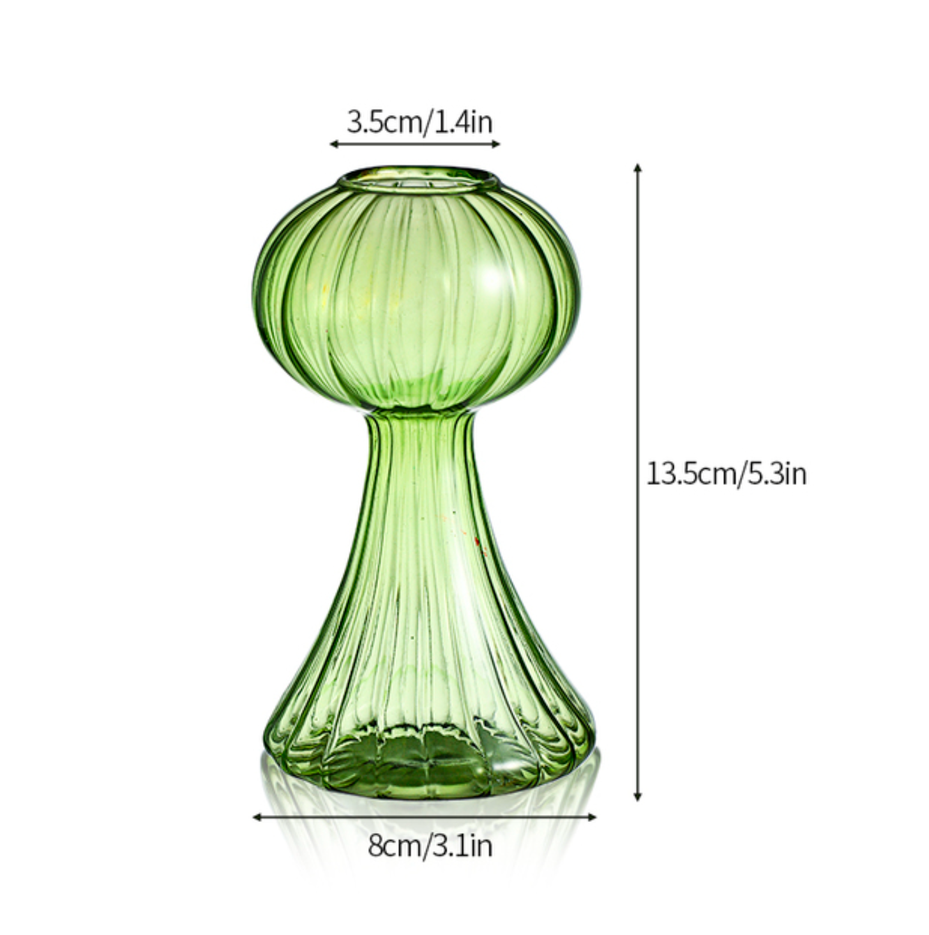 Nordic Hydroponic Glass Vase