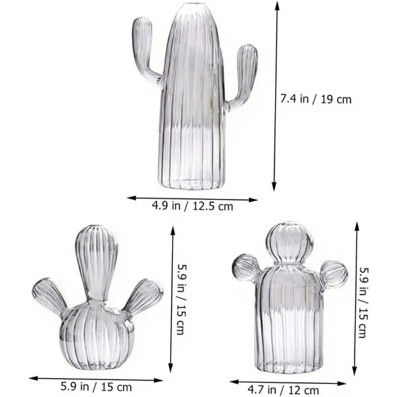 Brown Mini Cactus Vase – Glass Hydroponic Flower Holder