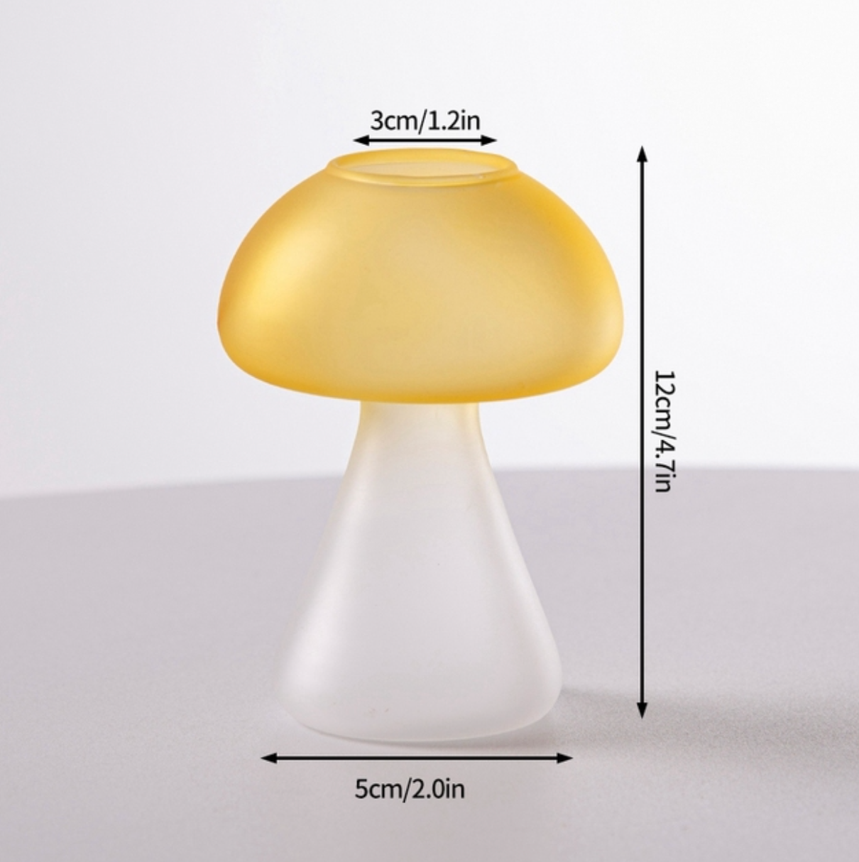 Creative Mushroom Glass Hydroponic Terrarium Vase