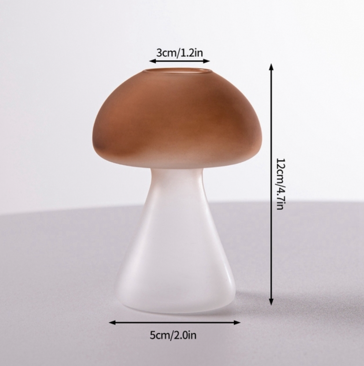 Creative Mushroom Glass Hydroponic Terrarium Vase