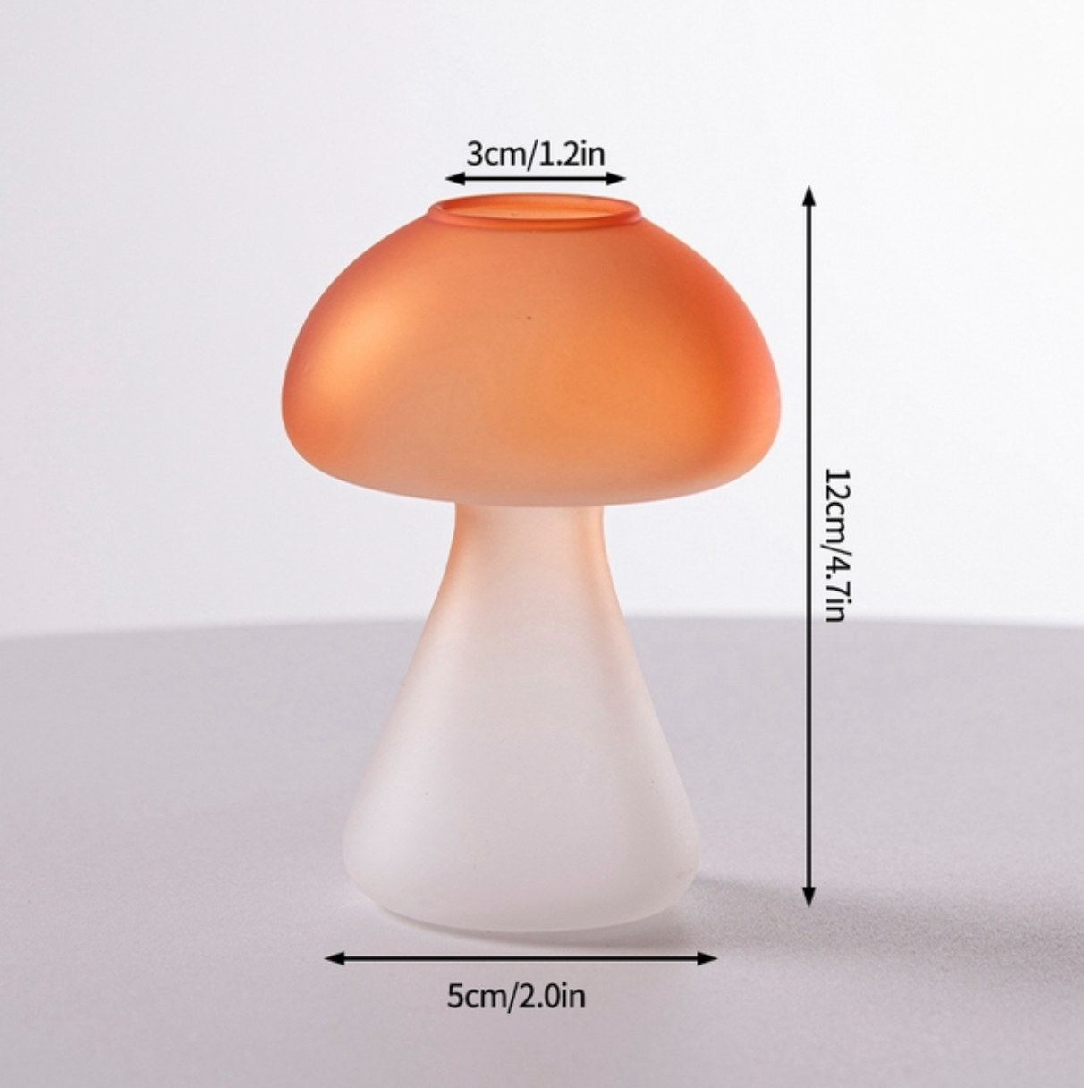 Creative Mushroom Glass Hydroponic Terrarium Vase