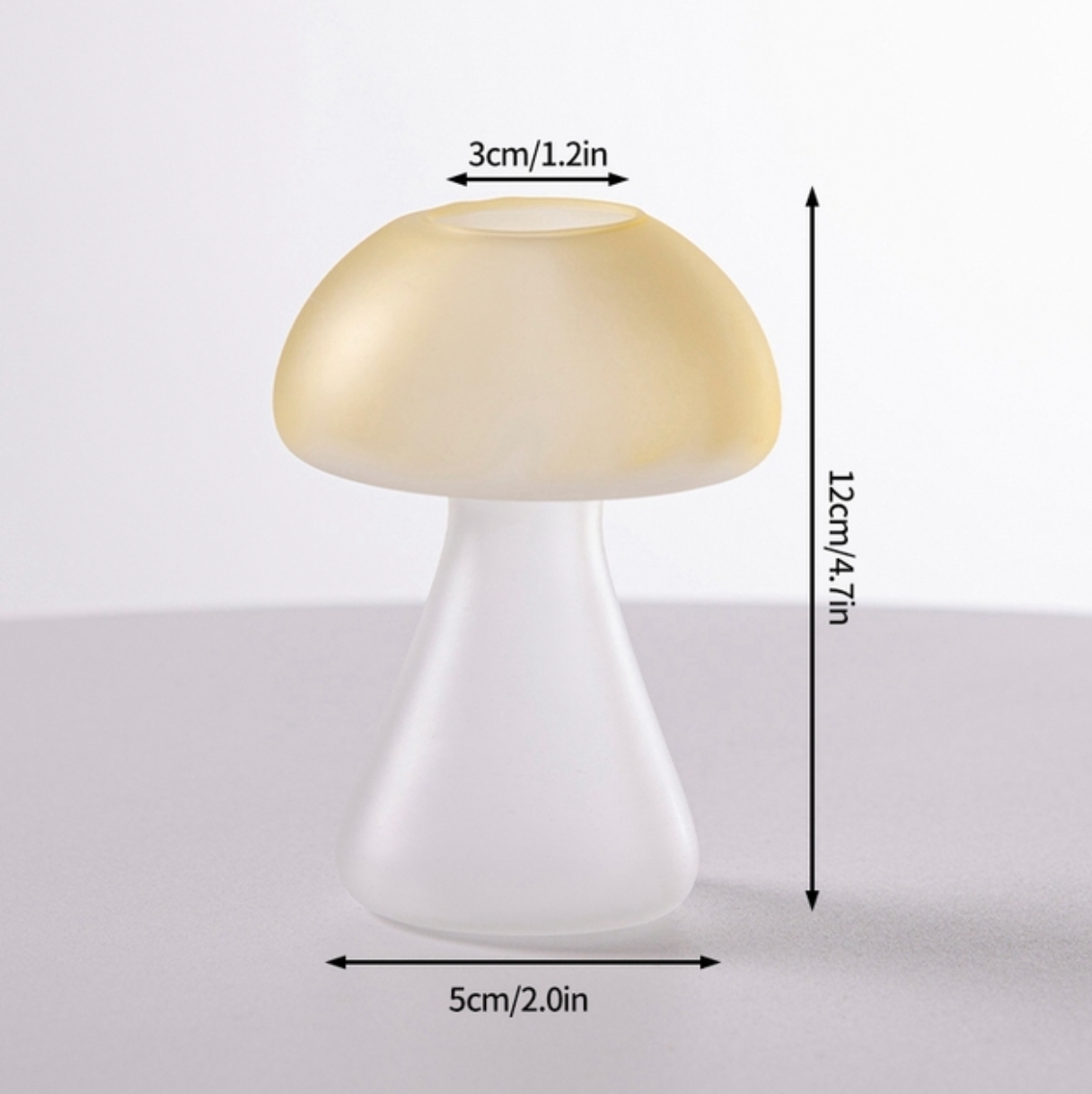 Creative Mushroom Glass Hydroponic Terrarium Vase