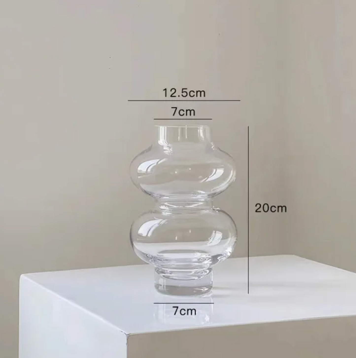 Hydroponic Decorative Glass Vase | Flower Arrangement