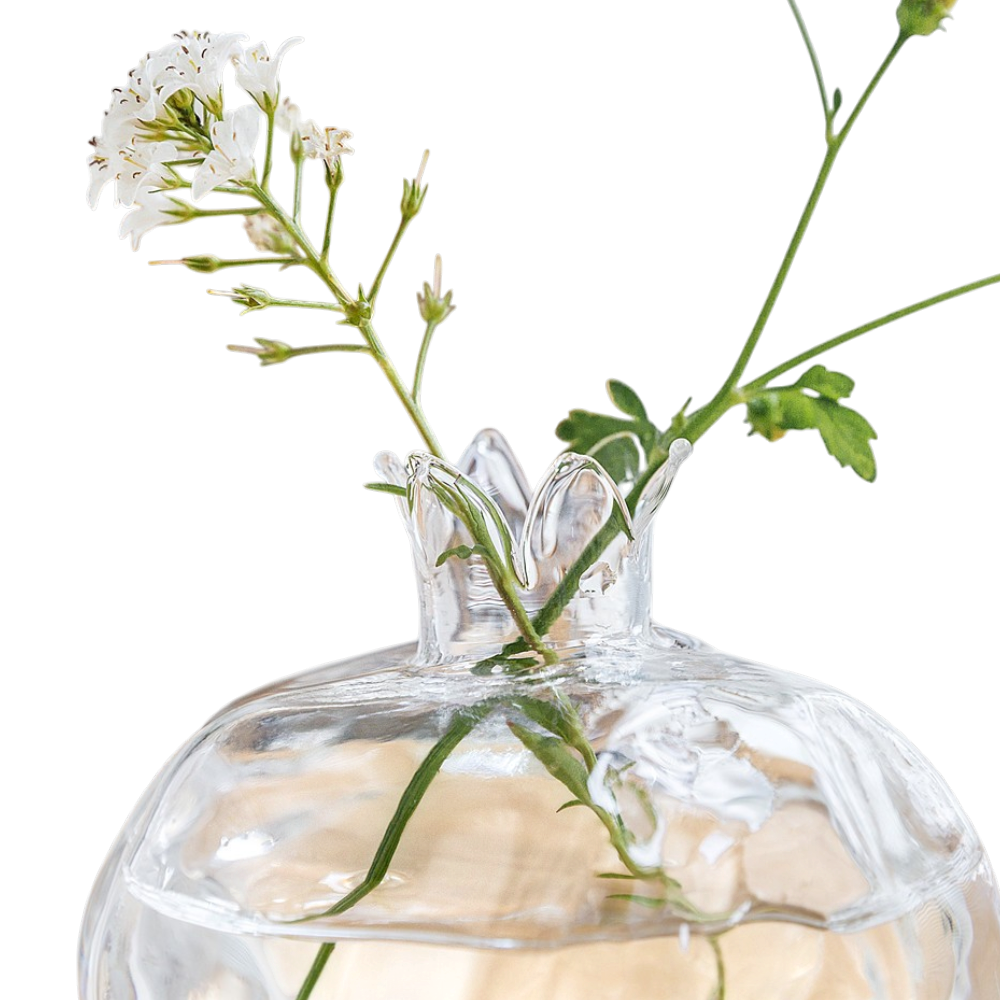Mini Glass Pomegranate Vase – Elegant Hydroponic Table Vase