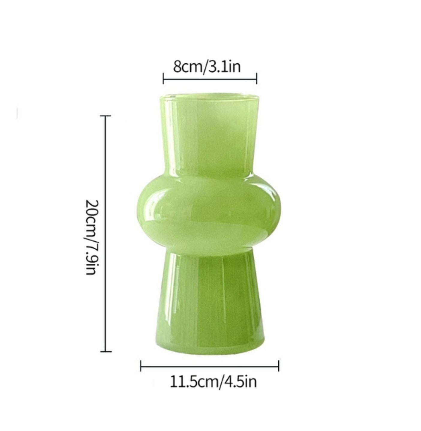 Modern Decorative Plant Hydroponic Vase