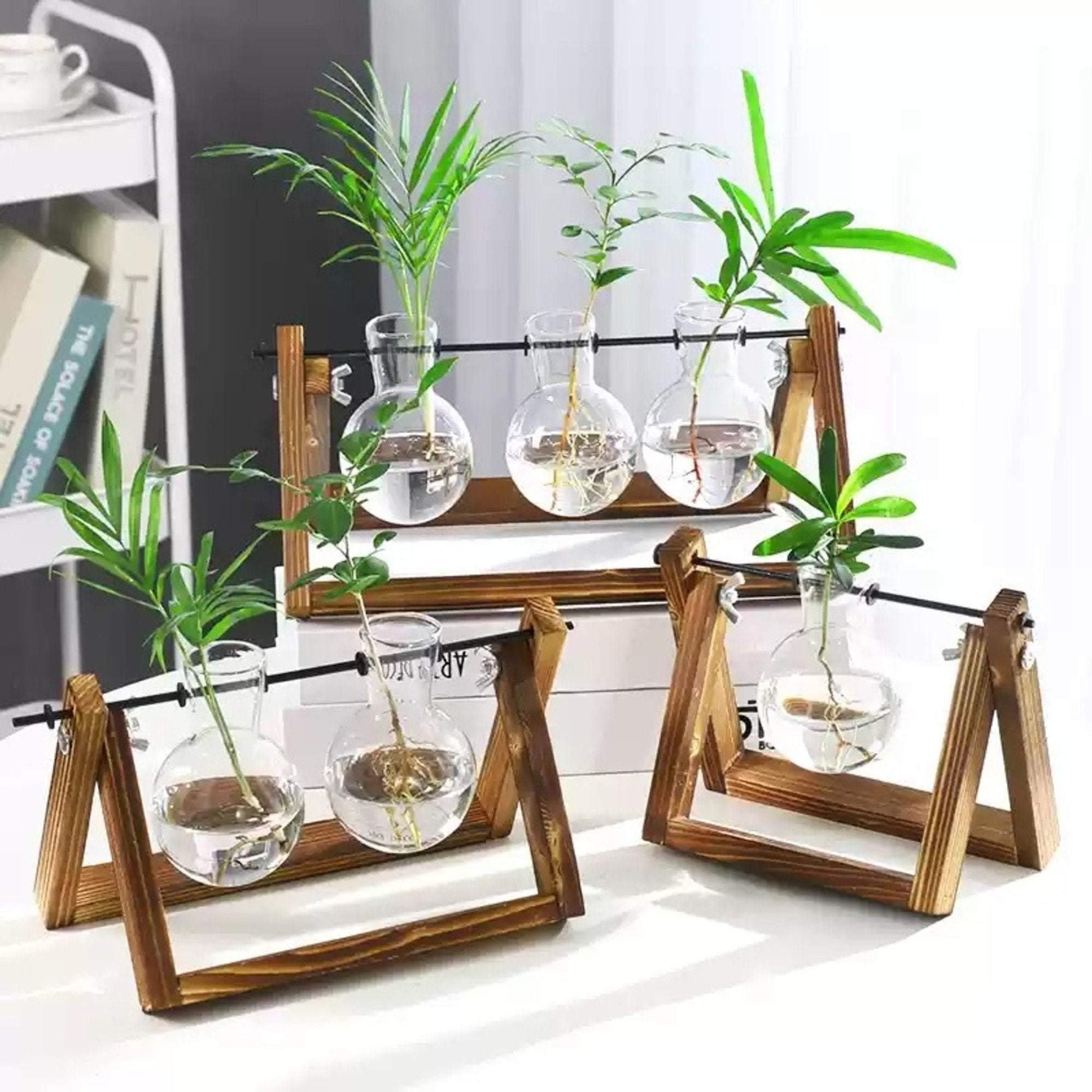 Glass Planter Bulb Vase with Wooden Stand - huemabe - Creative Home Decor