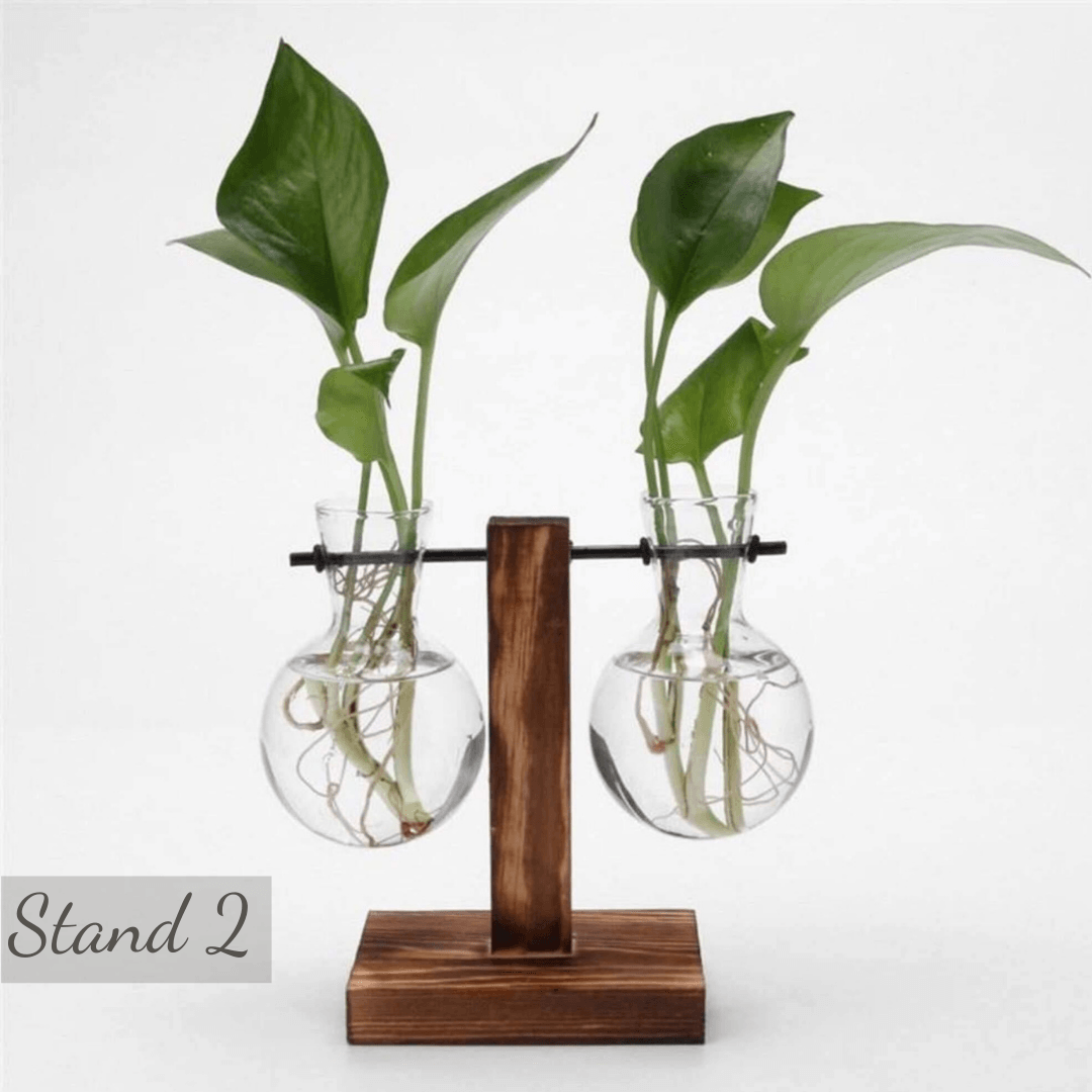 Glass Planter Bulb Vase with Wooden Stand - huemabe - Creative Home Decor