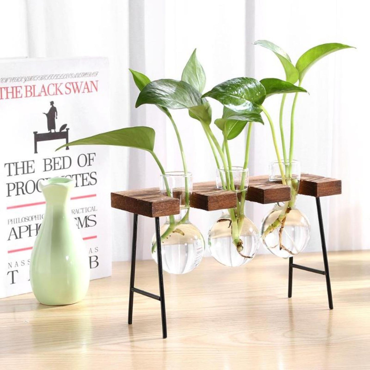 Glass Planter Bulb Vase with Wooden Stand - huemabe - Creative Home Decor