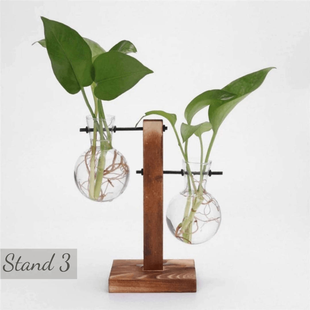 Glass Planter Bulb Vase with Wooden Stand - huemabe - Creative Home Decor