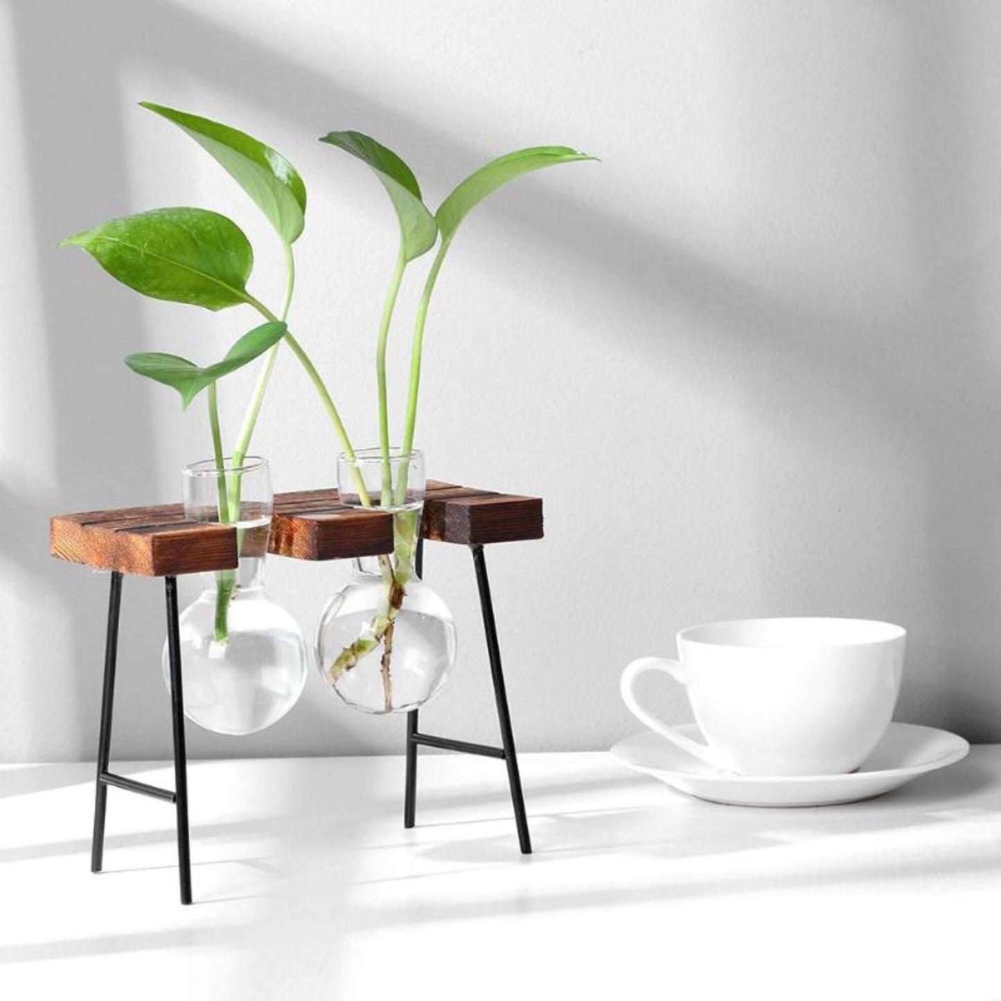 Glass Planter Bulb Vase with Wooden Stand - huemabe - Creative Home Decor