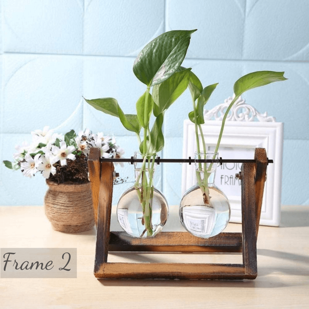 Glass Planter Bulb Vase with Wooden Stand - huemabe - Creative Home Decor