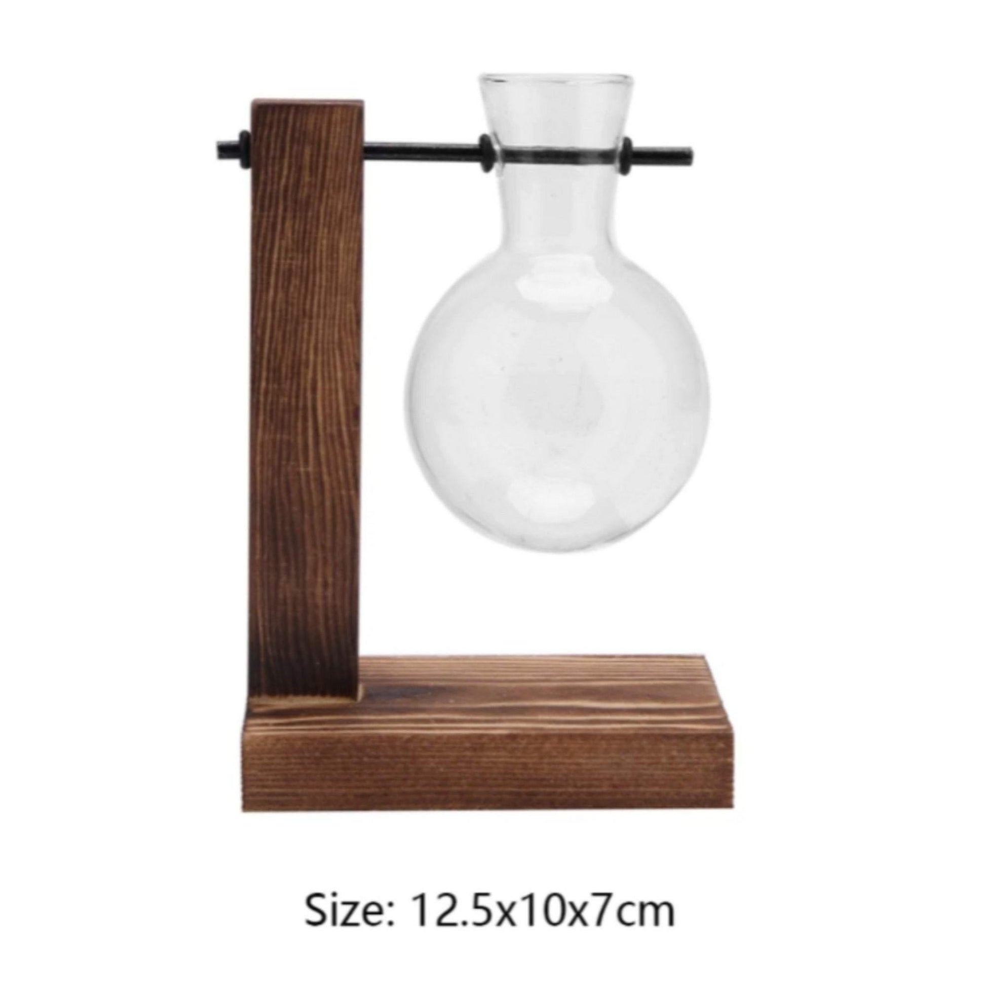 Glass Planter Bulb Vase with Wooden Stand - huemabe - Creative Home Decor