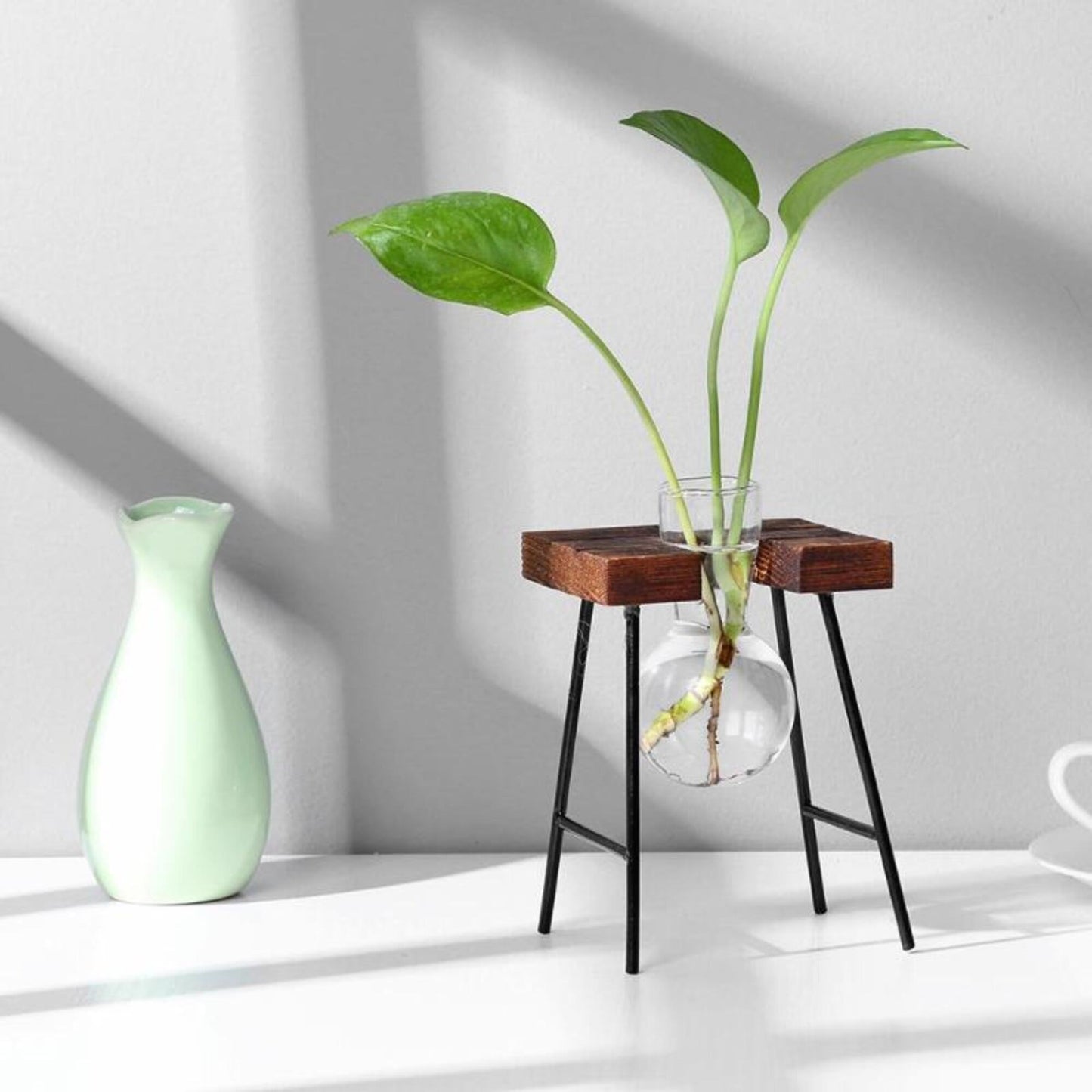 Glass Planter Bulb Vase with Wooden Stand - huemabe - Creative Home Decor