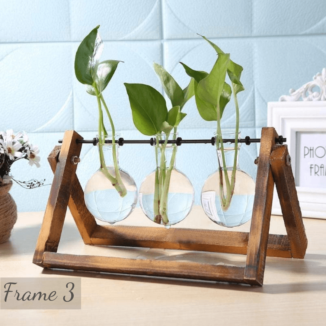 Glass Planter Bulb Vase with Wooden Stand - huemabe - Creative Home Decor